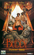 Buddy – plakát filmu