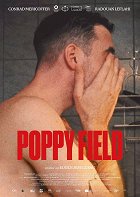 Pole vlčího máku – plakát filmu