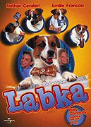 Tlapka – plakát filmu