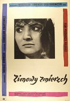 Zimní soumrak – plakát filmu