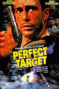 Perfect Target – plakát filmu
