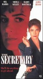 Sekretářka – plakát filmu