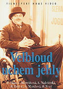 Velbloud uchem jehly – plakát filmu