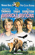 Americká divočina – plakát filmu