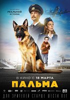 Palma – plakát filmu
