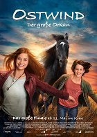 Rychlý jako vítr 5 - Velký Hurikán – plakát filmu