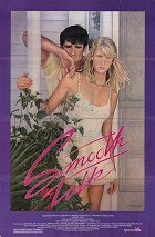 Lichotky – plakát filmu