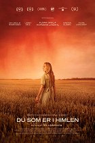 Jako v nebi – plakát filmu
