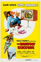 Chlupatý poradce – plakát filmu