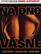 Na dno vášně – plakát filmu