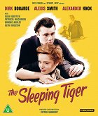 Spící tygr – plakát filmu