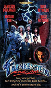 Frankenstein a já – plakát filmu