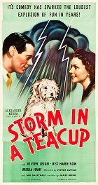 Storm in a Teacup – plakát filmu