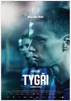 Tygři – plakát filmu