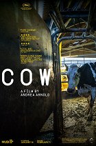 Kráva – plakát filmu