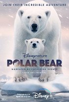 Polární medvěd – plakát filmu