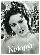 Netopýr – plakát filmu