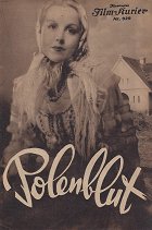 Polská krev (německá verze) – plakát filmu