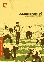 Ilegální přistěhovalec – plakát filmu
