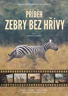 Příběh zebry bez hřívy – plakát filmu