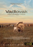 Divocí koně – Příběh z pusty – plakát filmu