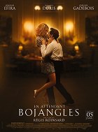 Než přijde pan Bojangles – plakát filmu
