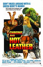 Chróm a horká kůže – plakát filmu