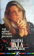 Falešná idyla – plakát filmu