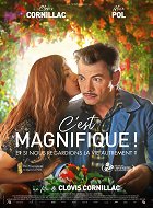 Je to nádhera! – plakát filmu