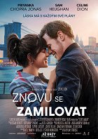 Znovu se zamilovat – plakát filmu