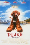 Psí život – plakát filmu