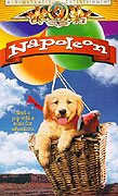 Napoleon – plakát filmu