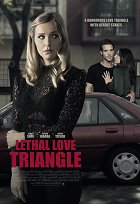 Nespravedlivé obvinění – plakát filmu
