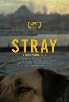 Stray – plakát filmu