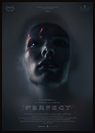 Perfect – plakát filmu