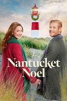 Vánoční naděje – plakát filmu