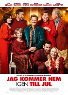 Na Vánoce přijedu domů – plakát filmu