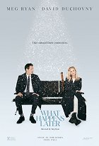 What Happens Later – plakát filmu