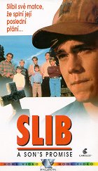 Slib – plakát filmu