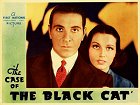 The Case of the Black Cat – plakát filmu