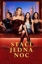 Stačí jedna noc – plakát filmu