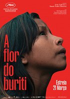 Květ burití – plakát filmu