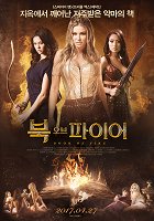 Book of Fire – plakát filmu