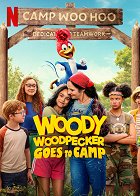 Datel Woody jede na tábor – plakát filmu