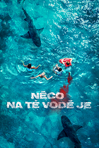 Something in the Water – plakát filmu