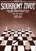 Soukromý život – plakát filmu