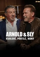 Arnold &amp; Sly: Rivals, Friends, Icons – plakát filmu