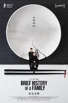 Stručná historie jedné rodiny – plakát filmu