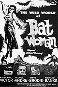 The Wild World of Batwoman – plakát filmu