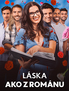 Novel Love – plakát filmu